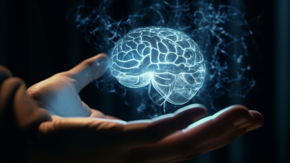 KVÍZ: Jak se vyznáte v lidském mozku a jeho funkcích?